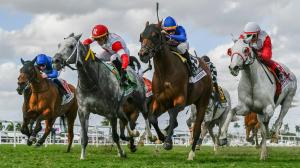 Noel’s Weekend Winners: Double-Digit Price Plays on Pegasus Undercard